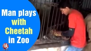 Man plays with Cheetah in Zoo - Teenmaar News (09-06-2015)