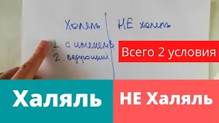 Чем отличается ХАЛЯЛь/НЕ Халяль! Всего 2 условия