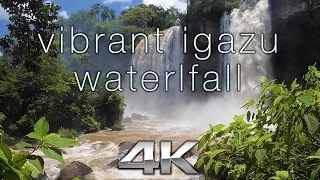 IGUAZU FALLS SCREENSAVER 4K | Nature Relaxation™ Static Video w/ Sounds