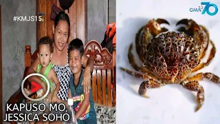 KMJS| Mag-anak sa Cagayan Nalason sa Pagkain ng isang uri ng Alimango