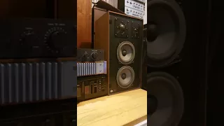 Nakamichi 410 & 420 Pre & Poder Amp