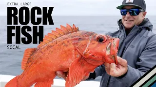 Local Knowledge S8:E6 "Deep Drop Rockfish"