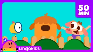 BINGO THE DOG 🐶 More Popular Songs for Kids | Lingokids