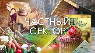 Жизнь в Карелии. Дом на своей земле