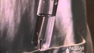 Reaction of Magnesium and Water
