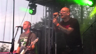 Podwórkowi Chuligani - Okno na Świat (Hey Ho! Ramona Fest 2019 Trzciel) [HD]