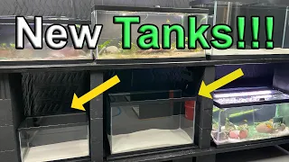 Fish Room Expansion: Exciting New Tank Setups!