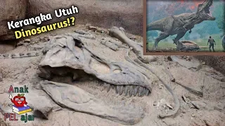 Tulang DINOSAURUS Berumur Puluhan Juta Tahun | 5 Penemuan Fosil Dinosaurus Terbesar di Dunia.