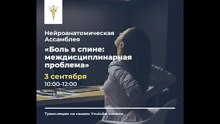 Нейроанатомическая Ассамблея  «Боль в спине: междисциплинарная проблема»