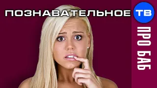 Все бабы ДУРЫ. Железное НАУЧНОЕ доказательство (Артём Войтенков)