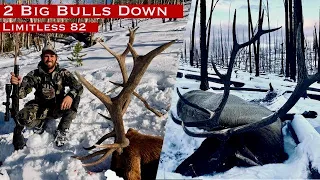 2 BIG Idaho Bulls Down!! | S6E01 | Limitless Outdoors