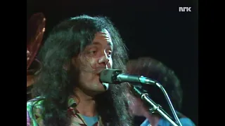 David Lindley's El Rayo-X : She Took off My Romeos & Mercury Blues 1981