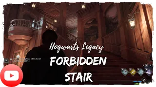 Hogwarts Legacy : Forbidden staircase of Gryffindor ( 1440P )