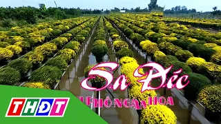 Du lịch Sa Đéc - Thành phố ngàn hoa | THDT