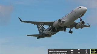 Live from Windy Wellington Airport