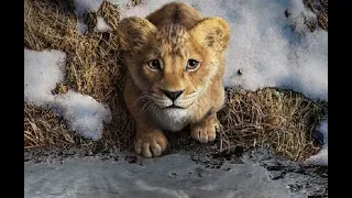 Mufasa: O Rei Leão | Trailer Oficial Dublado (2024)