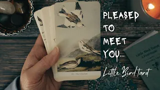Singin’ sweet songs of melodies pure and true… 🪽 | Pleased To Meet You… Little Bird Tarot