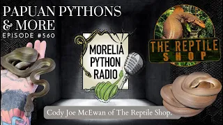 Papuan Pythons & More w/ Cody Joe from the Reptile Shop