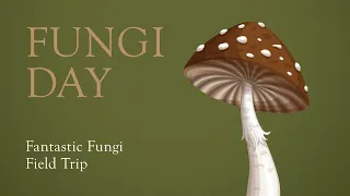 Fungi Day: Fantastic Fungi Field Trip