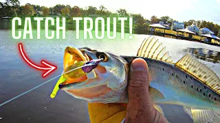 Saltwater FISH LOVE This LURE!