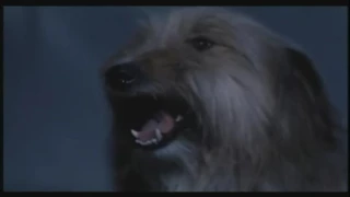 Demons 2 - Dog Transformation (very demonic)