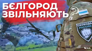 ОФІЦІЙНО: Бєлгородську область ЗВІЛЬНЯЮТЬ| Легіон «Свобода России» та «РДК» проводять операцію