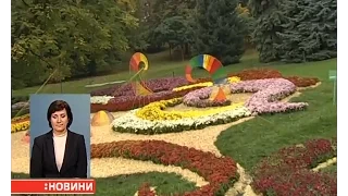 Найбільша 3D-композиція із хризантем потрапила до книги рекордів України