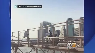 Brooklyn Bridge Rescue