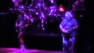 Grateful Dead Madison Square Garden New York NY - 9 20 1988