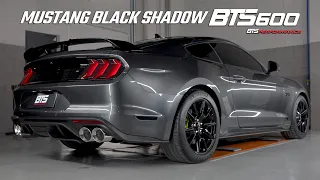 Mustang Black Shadow BTS600 by BTS Performance