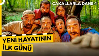 Birlikte Güldüğümüz Sahneler #24 - Bu Sefer Parayı Kırdık! | Çakallarla Dans 4