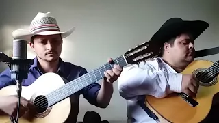 THIAGO VIOLA & CARLOS LIMA ''PAGODES''