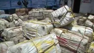 The British Navy seizes record cocaine haul