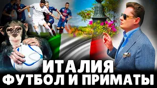 Италия, футбол и приматы | Евгений Понасенков