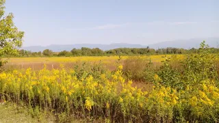 Коротко о нашей поездке в Илор. Икону отдали. Теперь она в храме.