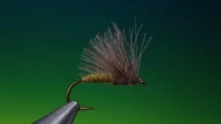 Tying a CdC caddis/sedge with Barry Ord Clarke