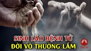 Sinh Lão Bệnh Tử - Cuộc Đời Là Vô Thường | ĐĐ Thích Tâm Thạch | PGVN