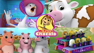 ENGANCHADOS PERRO CHOCOLO - LOS POLLITOS DICEN, TRES CHANCHITOS, CABALLITO BLANCO