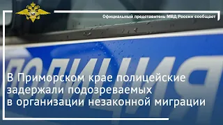 Ирина Волк: В Приморском крае полицейские задержали подозреваемых в организации незаконной миграции
