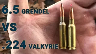 Ammo showdown: 6.5 Grendel vs .224 Valkyrie