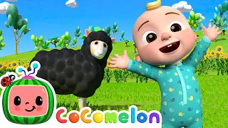 Baa Baa Black Sheep + More! | CoComelon Animals | Animals for Kids