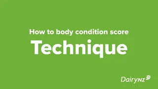 DairyNZ Body Condition Scoring - How To Condition Score