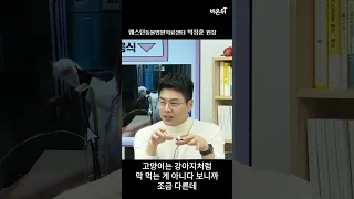 고양이가 조심해야 할 음식!! #Shorts