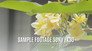 Sample Footage SONY FX30 I 100fps 10bit 422 Slog3