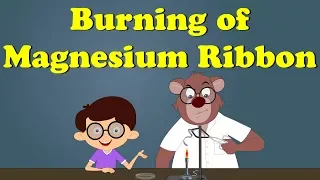 Burning of Magnesium Ribbon Experiment | #aumsum #kids #science #education #children