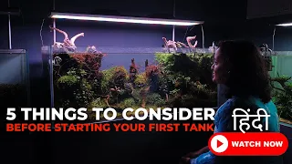 Watch before you start this beautiful hobby. Introduction to planted tank basics in Hindi.