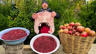 Harvesting Pomegranates and Cooking 6 KG of BELUGA STURGEON with Pomegranate Syrup