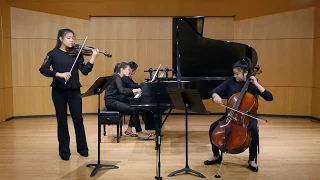 Beethoven Triple Concerto in C Major, Op. 56, 1st movement: Trio TriloGy