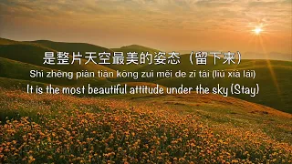 The Most Dazzling Folk Style 最炫民族风 Zui Xuan Min Zu Feng - Chinese, Pinyin & English Translation