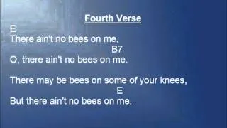 There Aint No Bugs On Me lyrics and chords